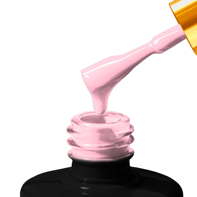 K_TOP_5_.webp