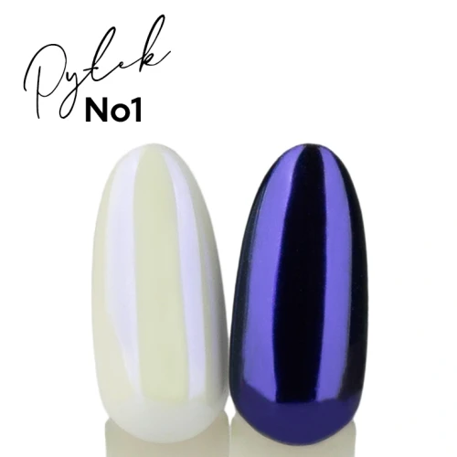 Pylek_No1_K_03 (1).webp