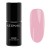 Fierce-Rose.webp