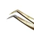 Zlote-pesety-do-rzes-Mega-VOLUME-6-–-Pimp-My-Lashes-2-768x768.webp