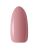 S&amp;E_DUSTY-BLOOM_pazurek.png