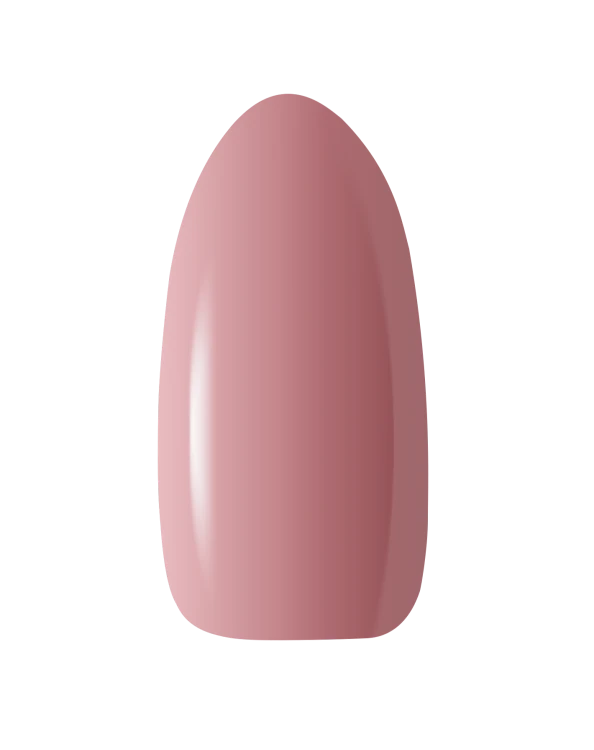 S&amp;E_DUSTY-BLOOM_pazurek.png