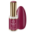 588-para_Bloom.webp