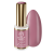 587-para_Bloom.webp